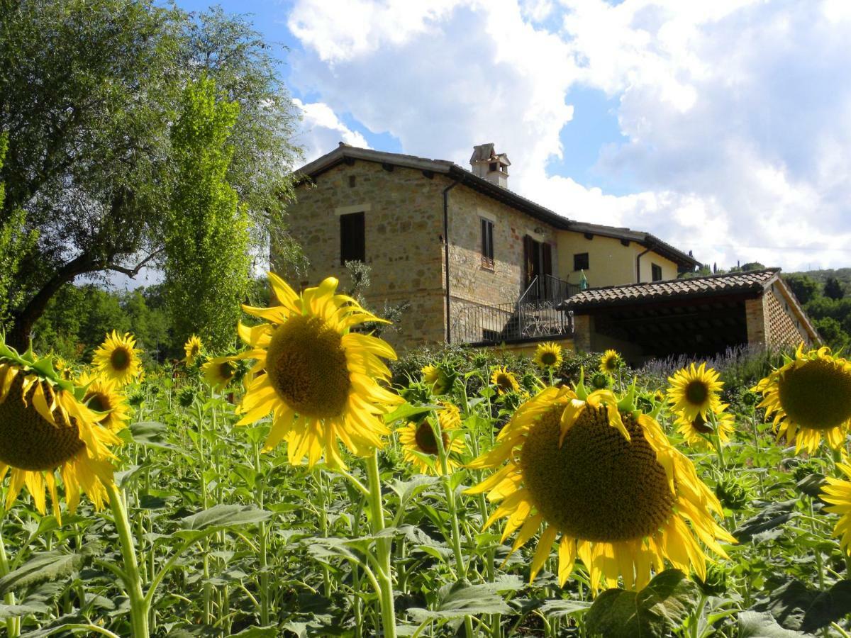 Appartamenti Verde Collina Umbra Bevagna Dış mekan fotoğraf