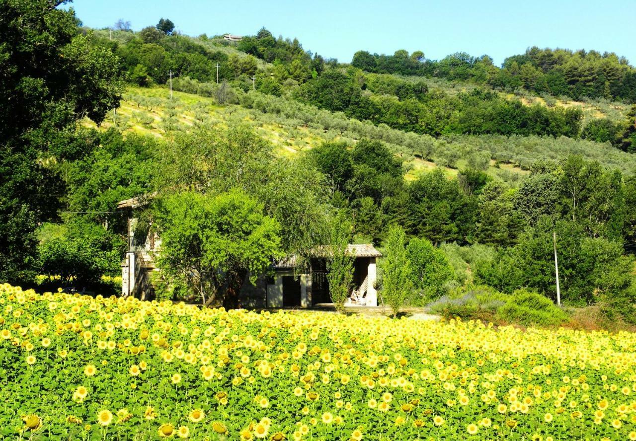 Appartamenti Verde Collina Umbra Bevagna Dış mekan fotoğraf