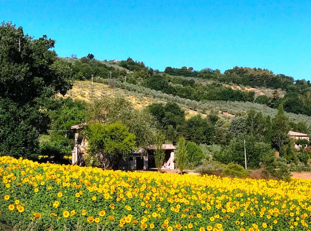 Appartamenti Verde Collina Umbra Bevagna Dış mekan fotoğraf