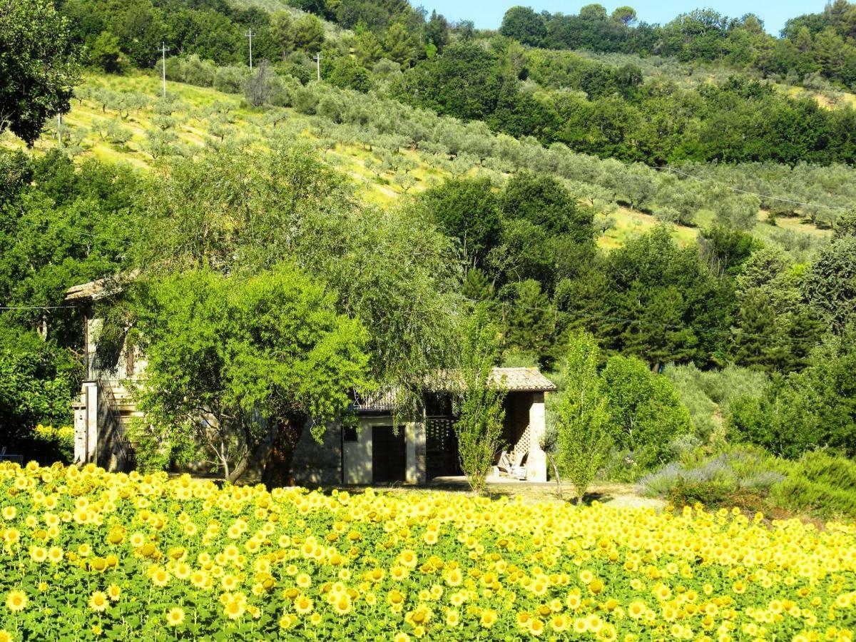 Appartamenti Verde Collina Umbra Bevagna Dış mekan fotoğraf